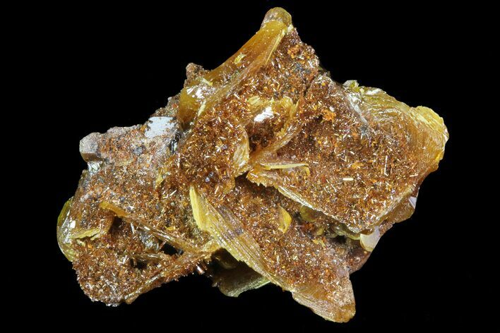 Wulfenite Crystals Cluster - Mexico #67699